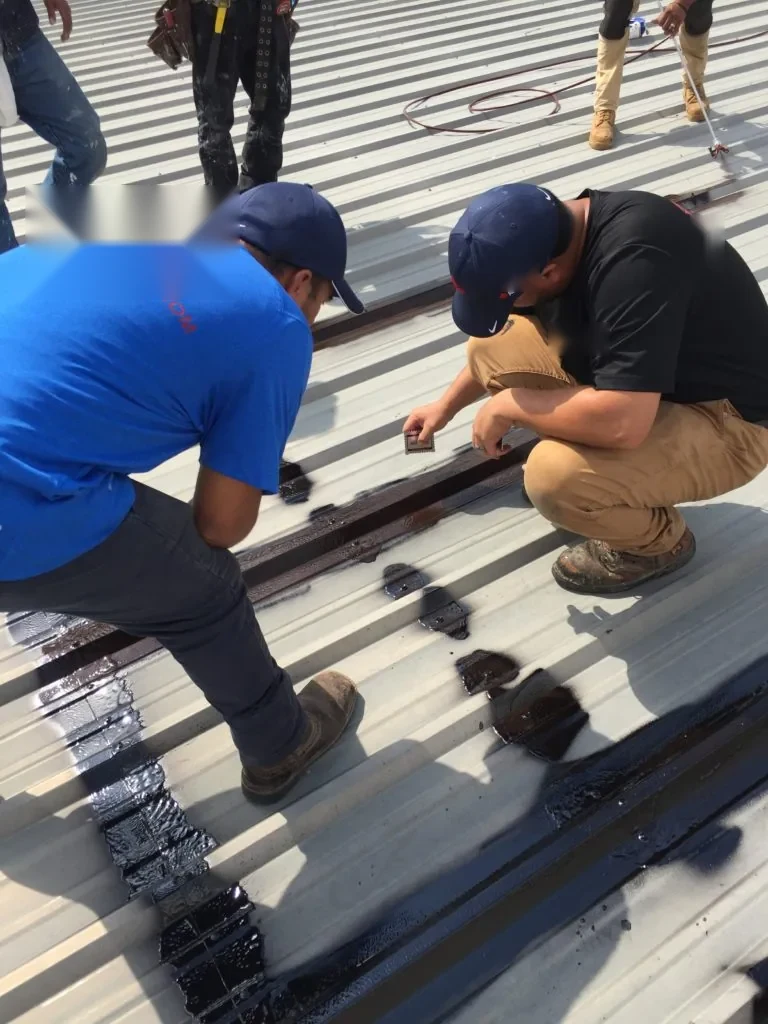 Located findings for the Old Town roof decision