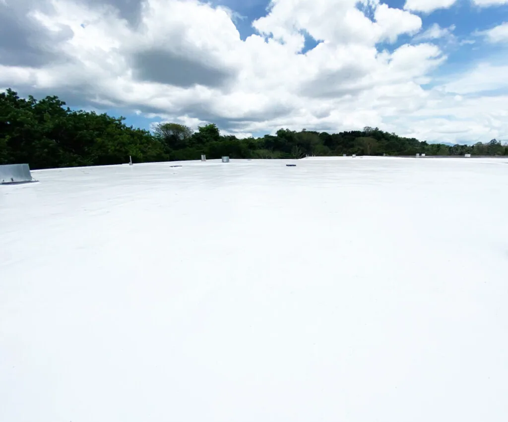 Silicone Roof Coatings in Elk Grove, CA